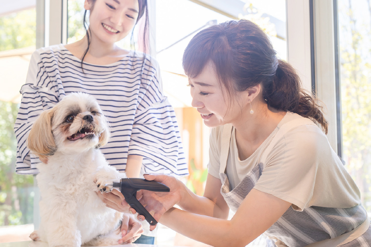 「私らしい働き方」見つけよう！ 現役トリマーの声から生まれた求人サイト