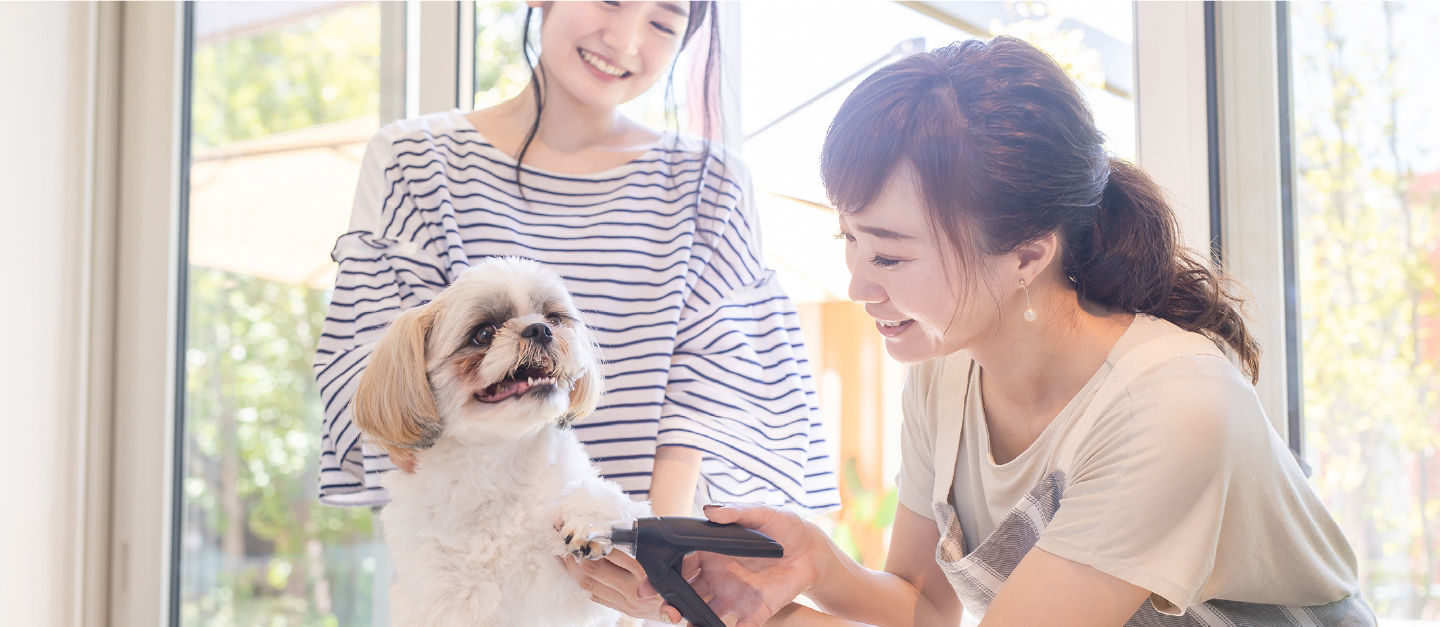 「私らしい働き方」見つけよう！ 現役トリマーの声から生まれた求人サイト