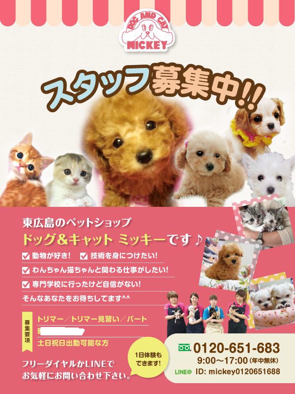 求人情報 ドッグ キャット ミッキー トリマッチ トリマー ペット業界の求人サイト
