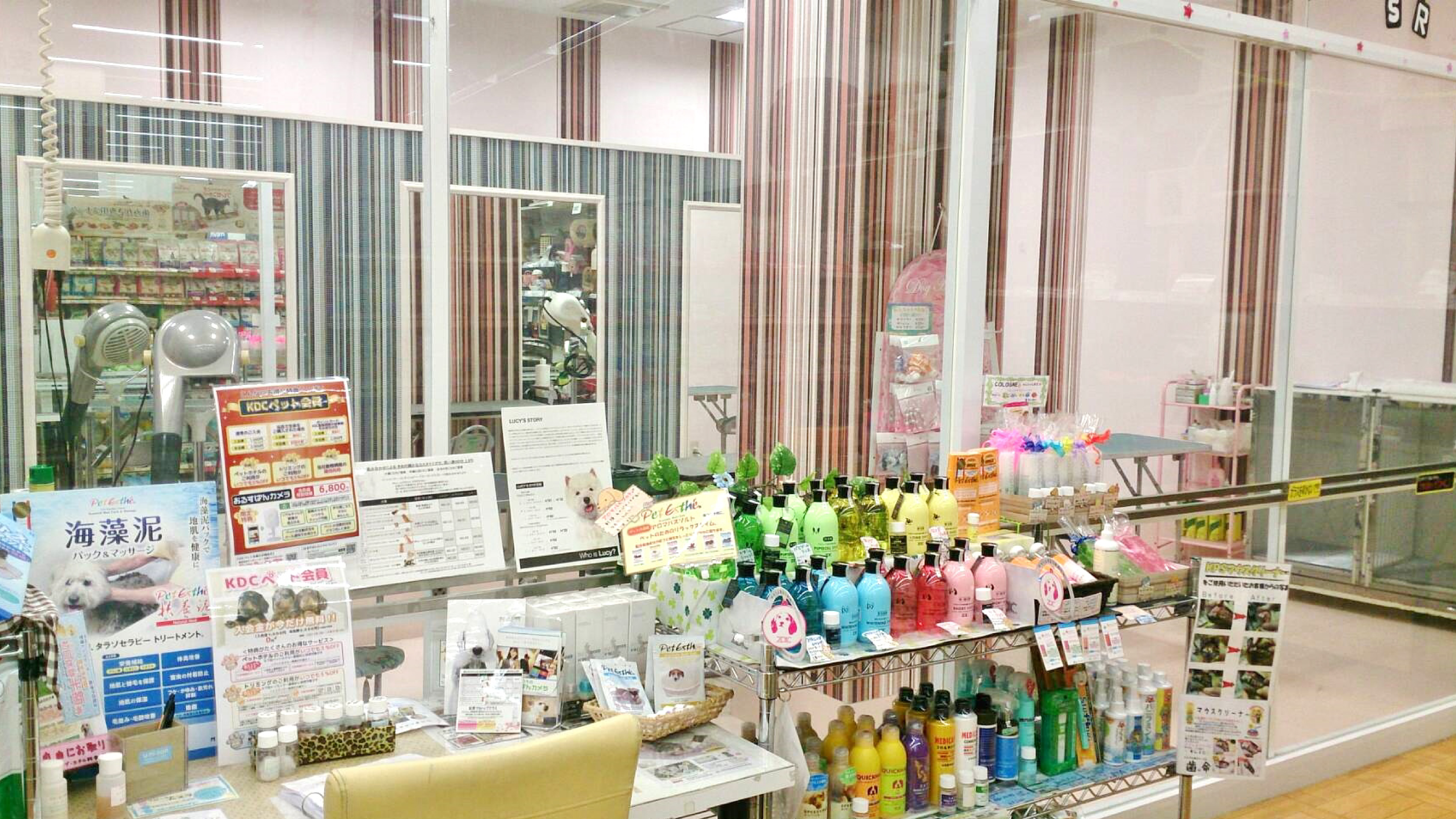 【アルバイト・パート】南津守店 トリマースタッフ募集 ブランクOK