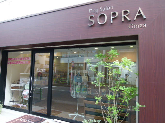 【ソプラ銀座 吉川美南店】 オープニングスタッフ大募集‼ パート/アルバイト 9月中旬オープン予定